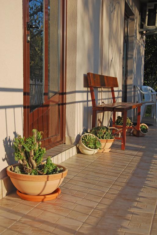 Apartments Iva Tivat Habitación foto