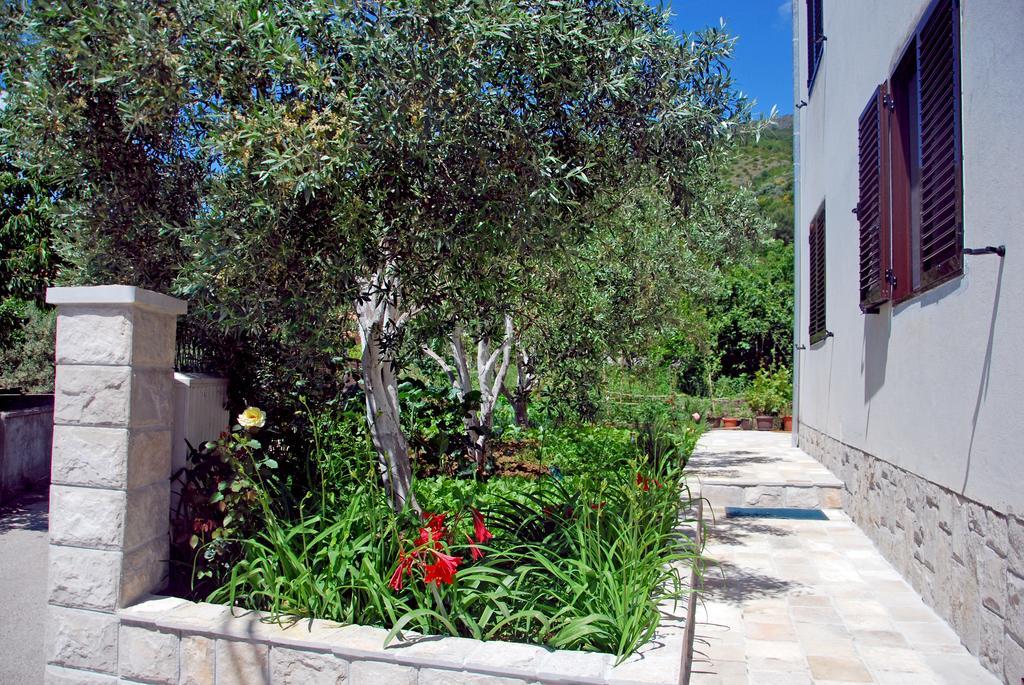 Apartments Iva Tivat Habitación foto