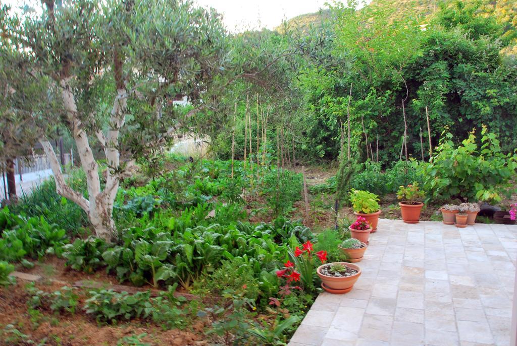 Apartments Iva Tivat Exterior foto