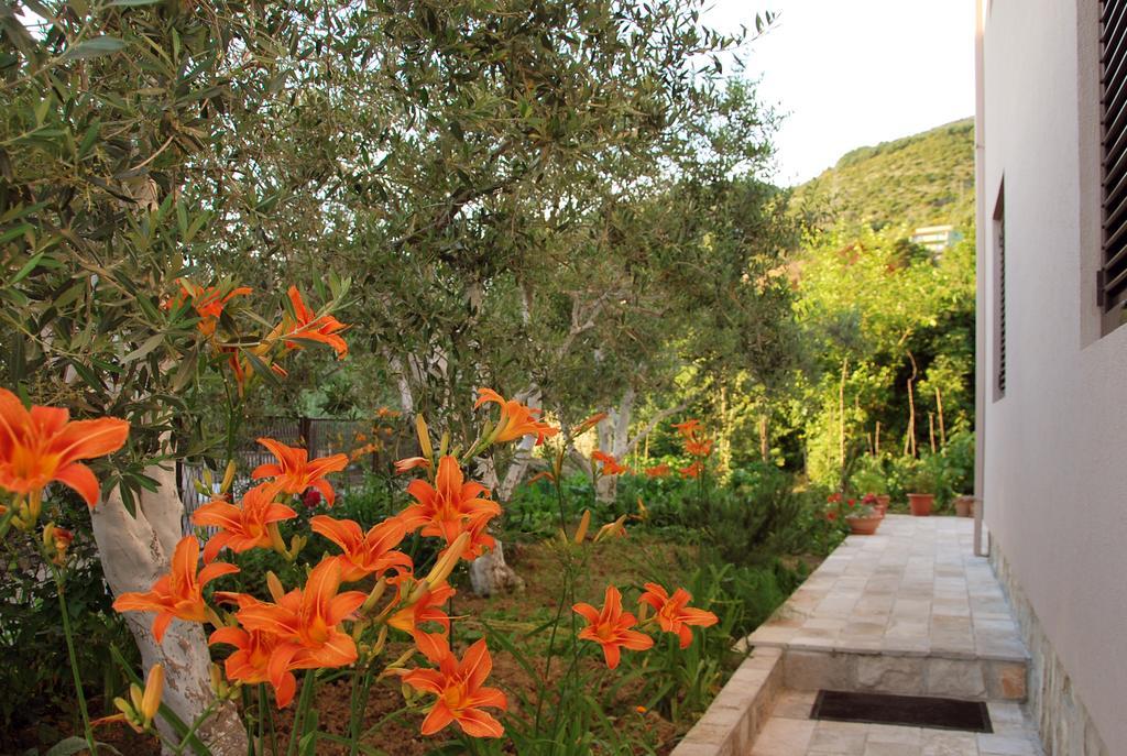 Apartments Iva Tivat Exterior foto